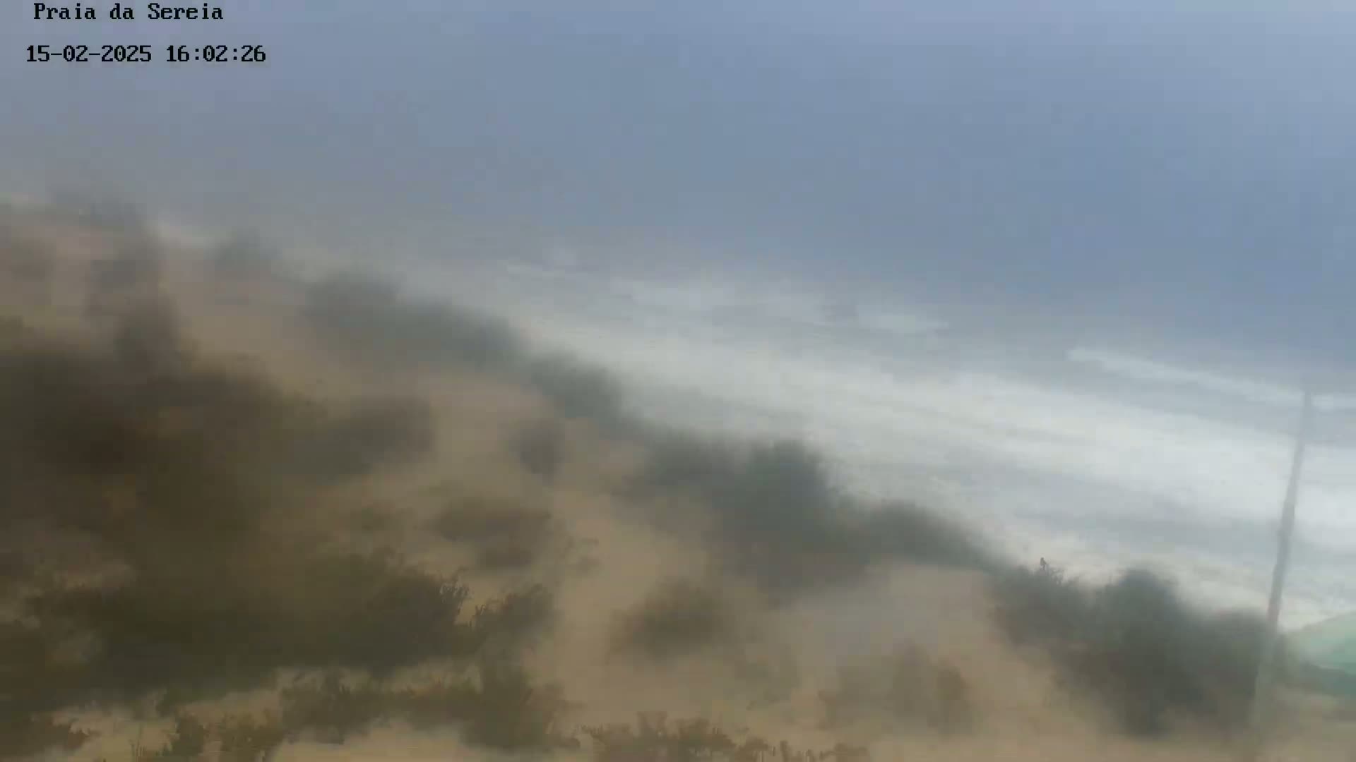 A hazy, overcast day shows a beach with waves crashing on the shore, viewed from a dune covered with sparse vegetation.