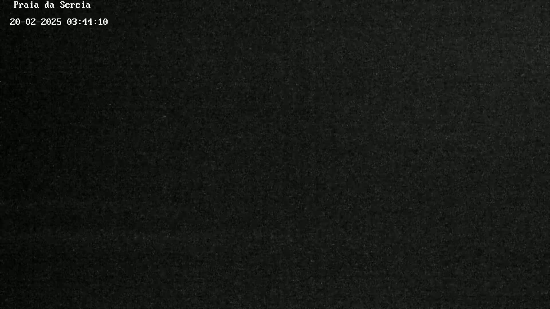 The image shows a uniformly dark gray or black textured surface.