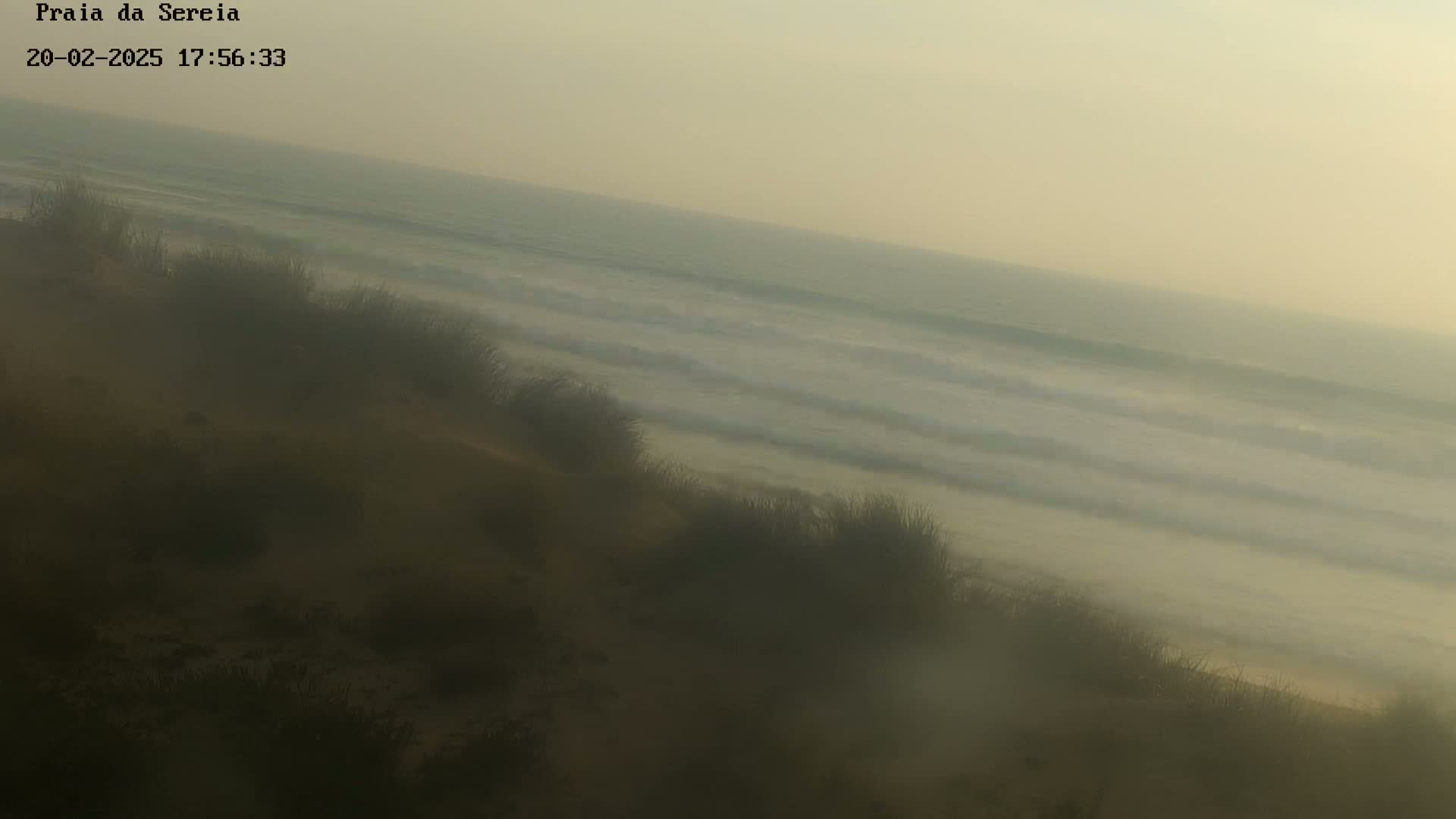 A hazy, pale-colored beach with gentle waves is seen from a dune covered in muted green grasses.