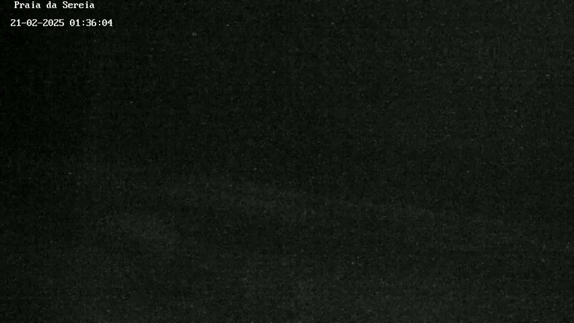 A dark, grainy image shows a mostly uniform black texture.