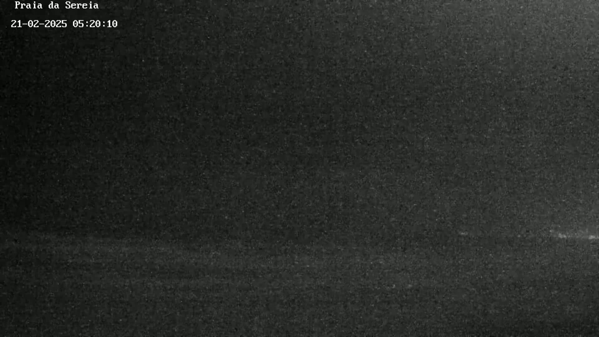 A dark, grainy image shows a mostly featureless expanse of dark-toned ground or water under a dark sky.