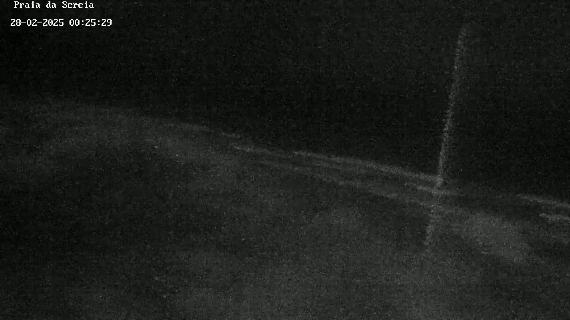 A dark, grainy nighttime image shows a beach with faint, light lines suggesting the presence of water.