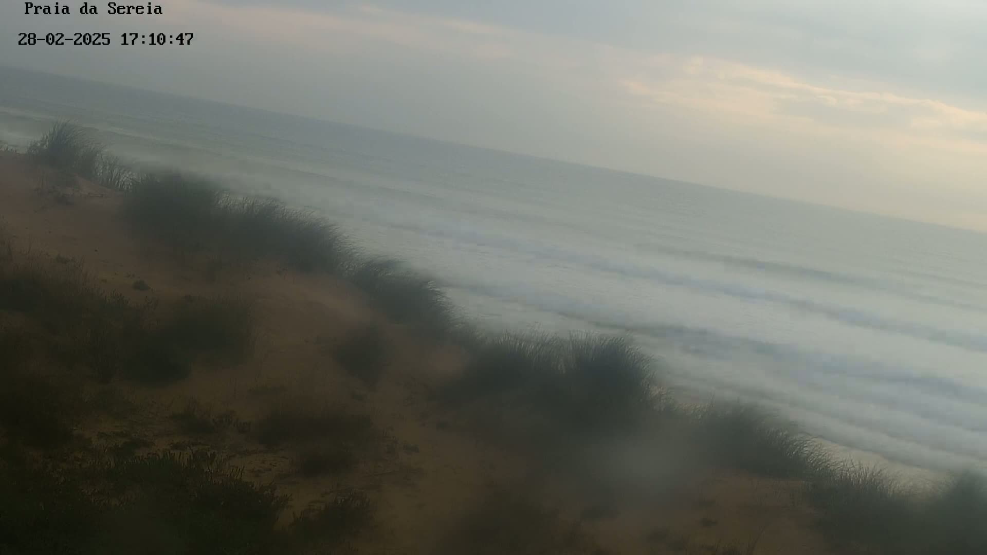 A sandy dune covered with grass overlooks a hazy ocean with small waves under an overcast sky.