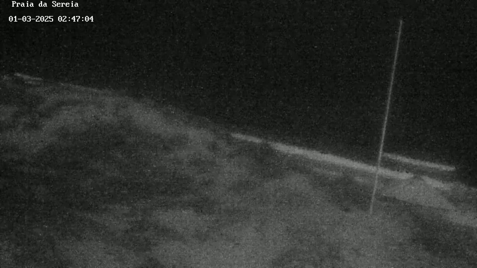 A nighttime, grainy image shows a dark beach or shoreline under a clear sky.