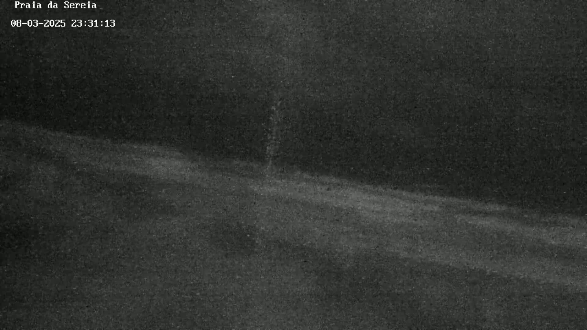A nighttime, low-light image shows a dark, textured surface, possibly sand or asphalt, extending across the frame.