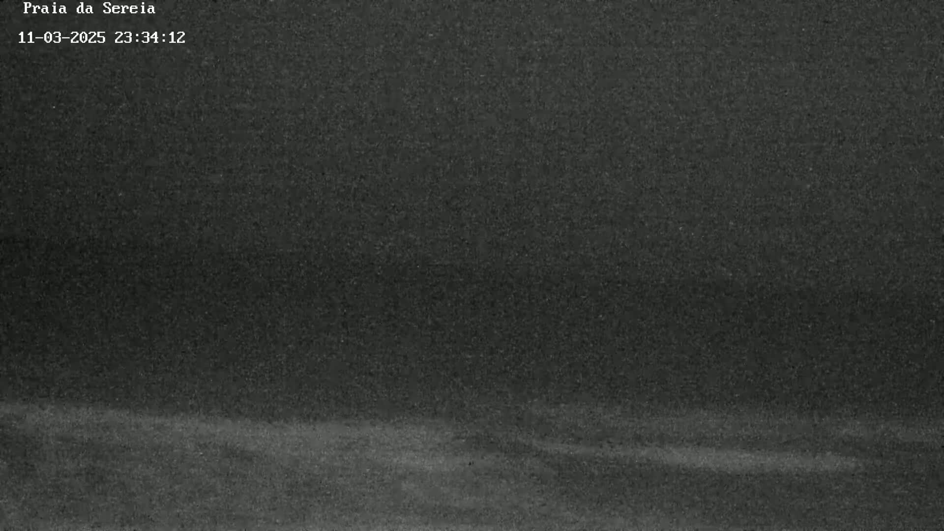 A low-light, grainy image shows a dark beach at night.