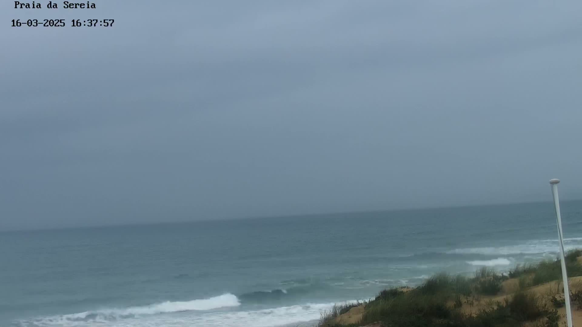 A gray, overcast sky hangs over a somewhat choppy ocean meeting a sandy shore with sparse vegetation.