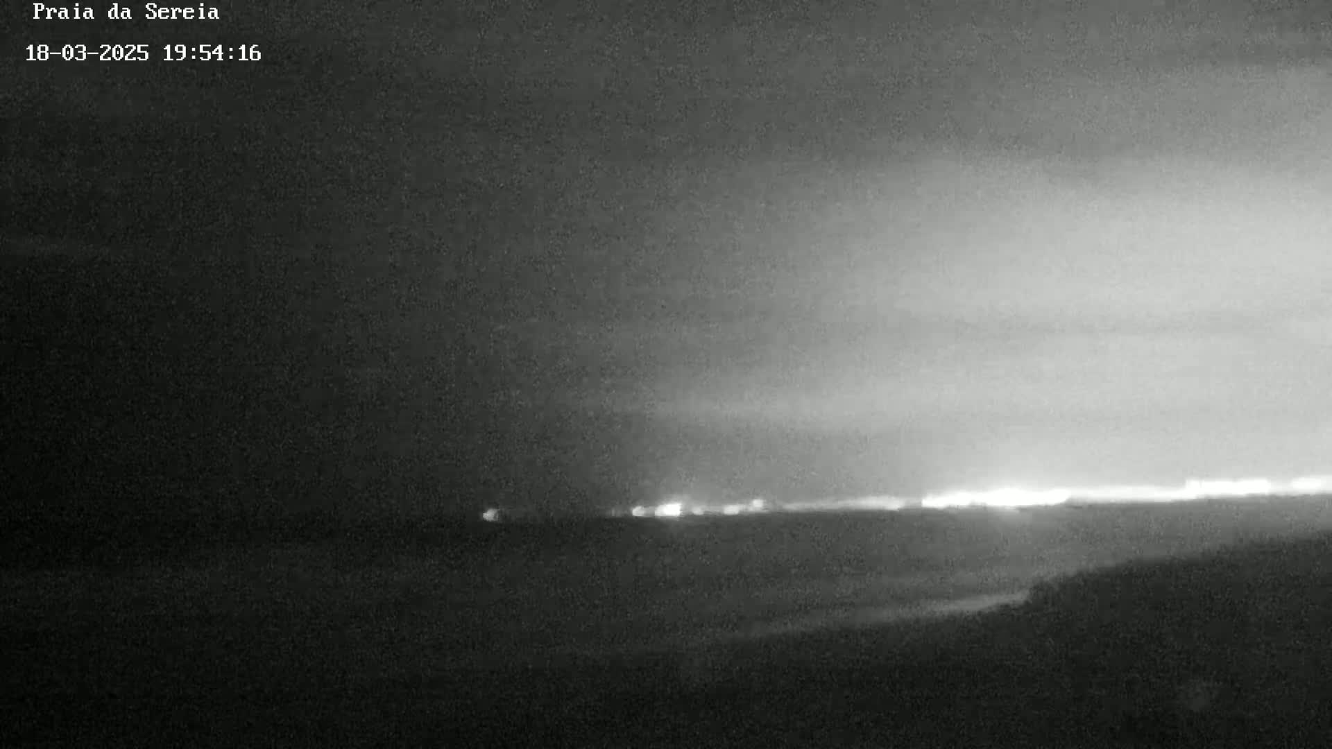 A nighttime, low-light grayscale image shows a dark beach with a faint horizon line illuminated by distant lights.