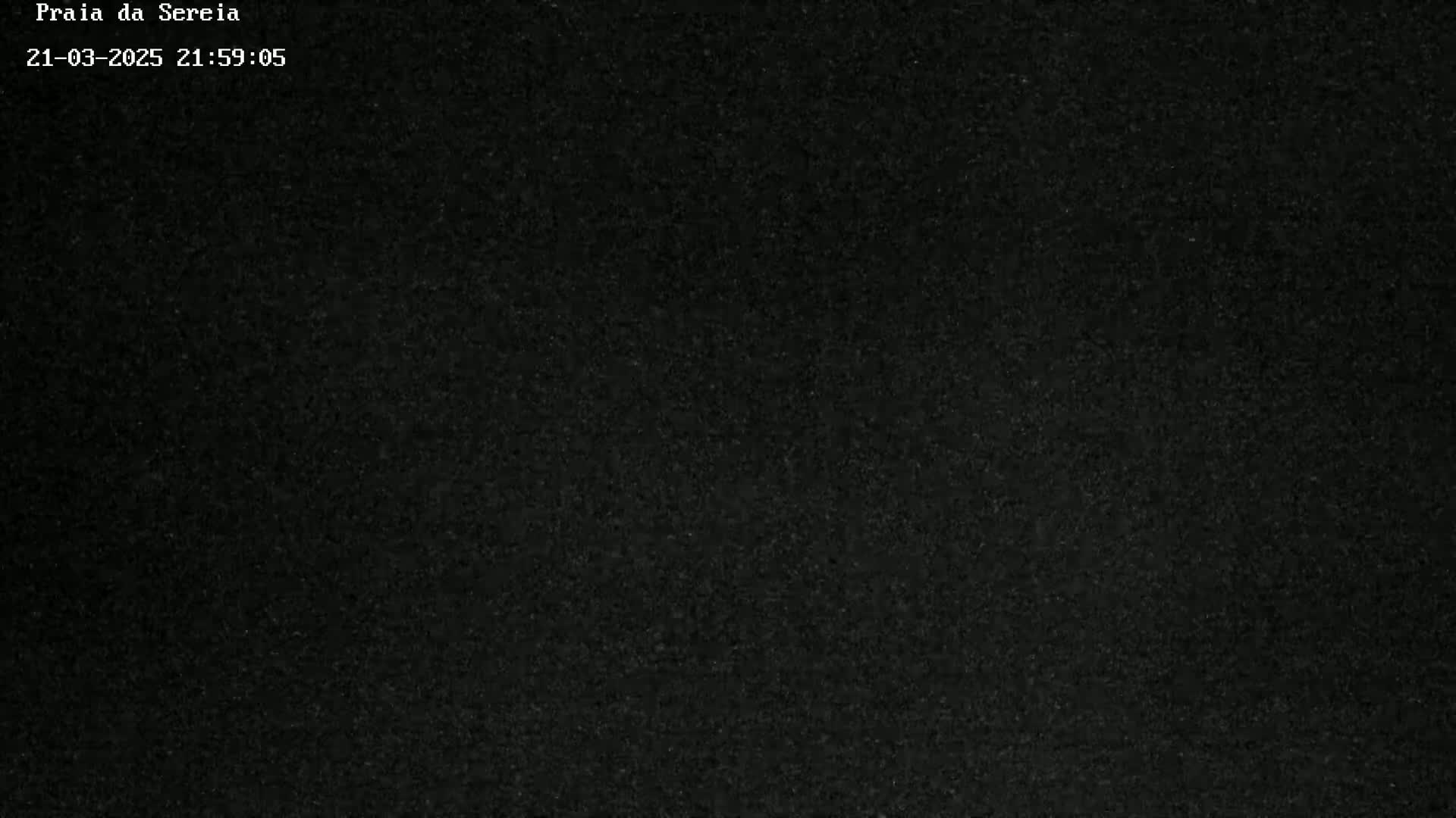 A uniformly dark, grainy surface fills the entire image.