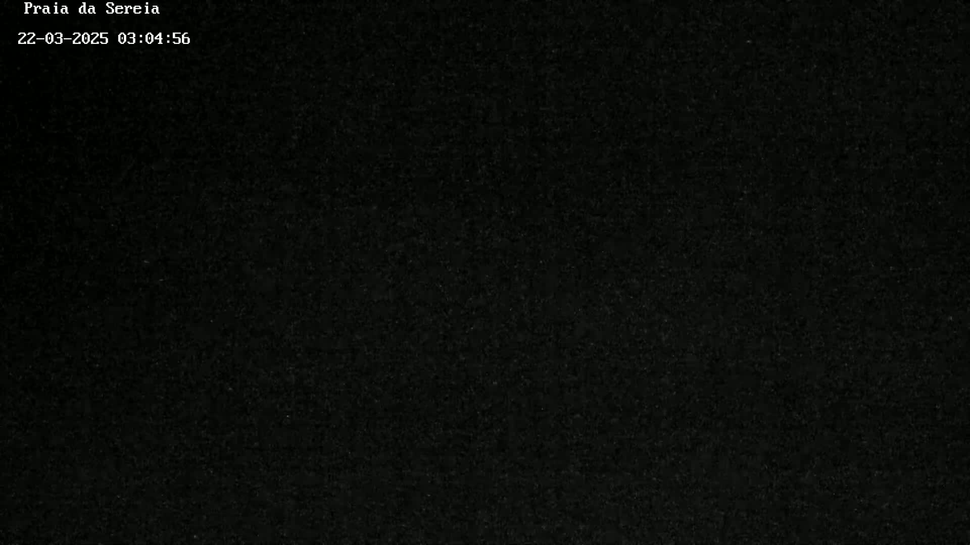 The image shows a uniformly dark, grainy texture.