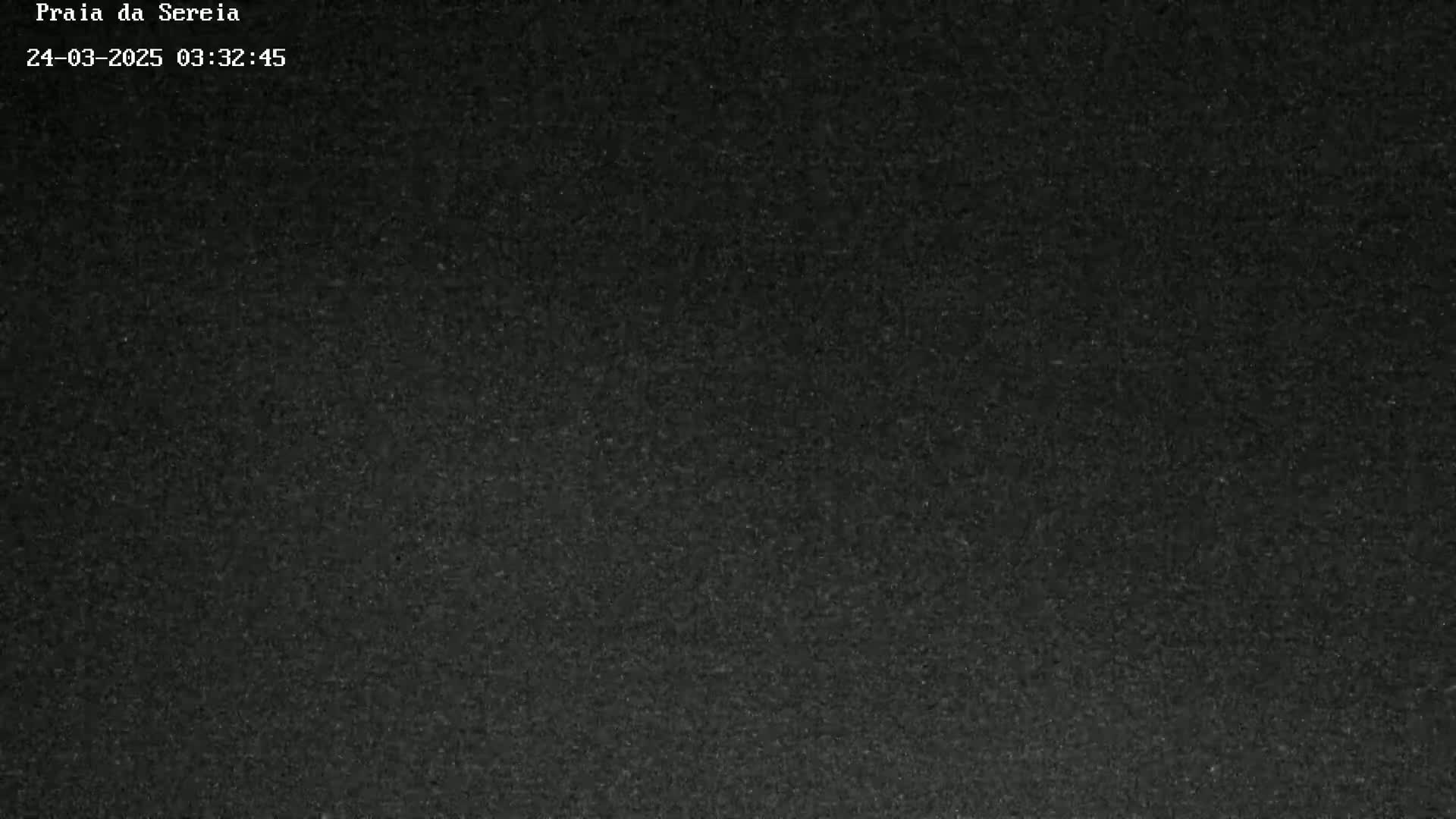A dark gray, textured surface fills the entire image.