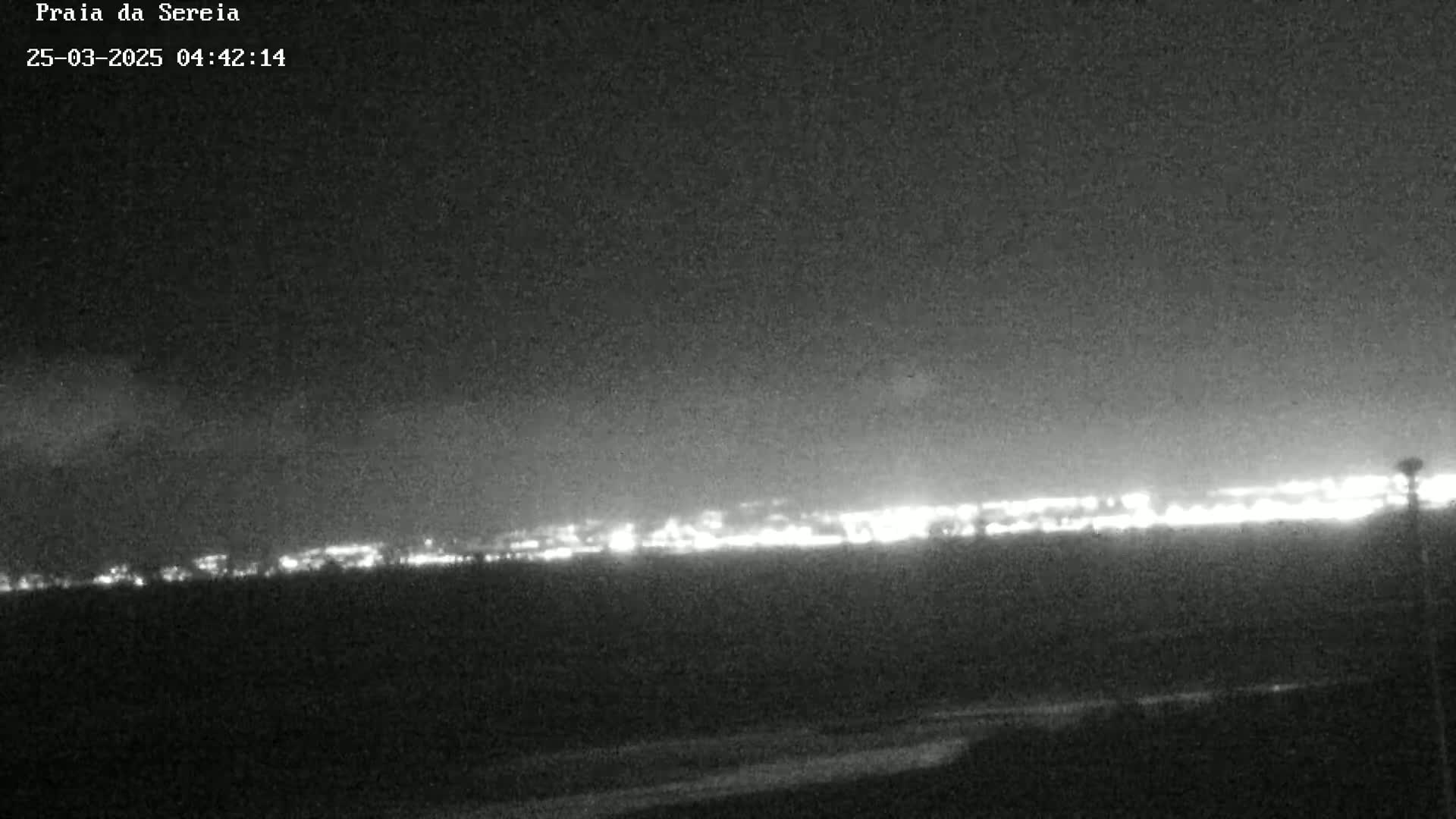 A nighttime long shot shows a distant city skyline illuminated against a dark, clear sky.