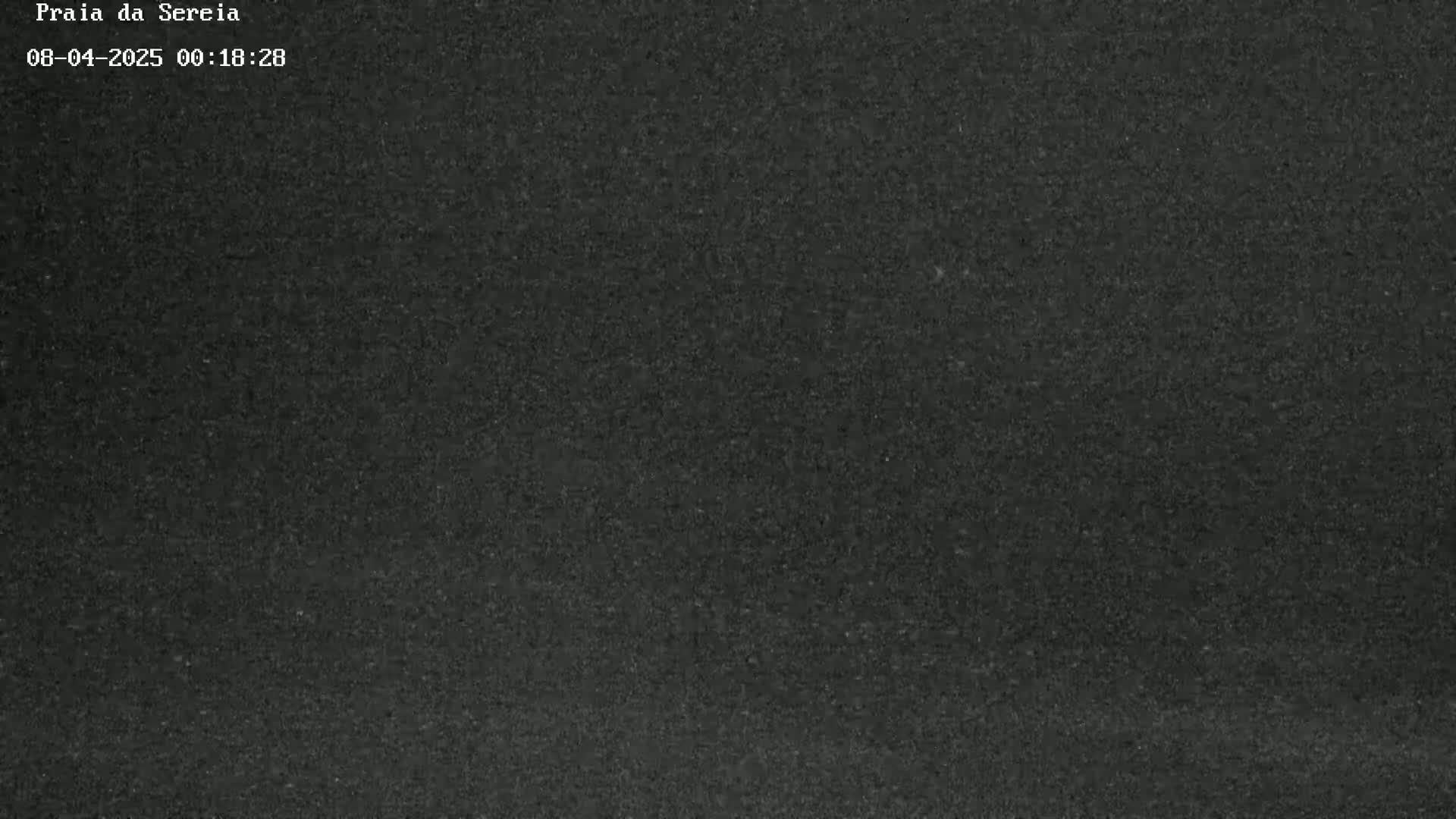 A dark gray, grainy image shows a mostly uniform texture.