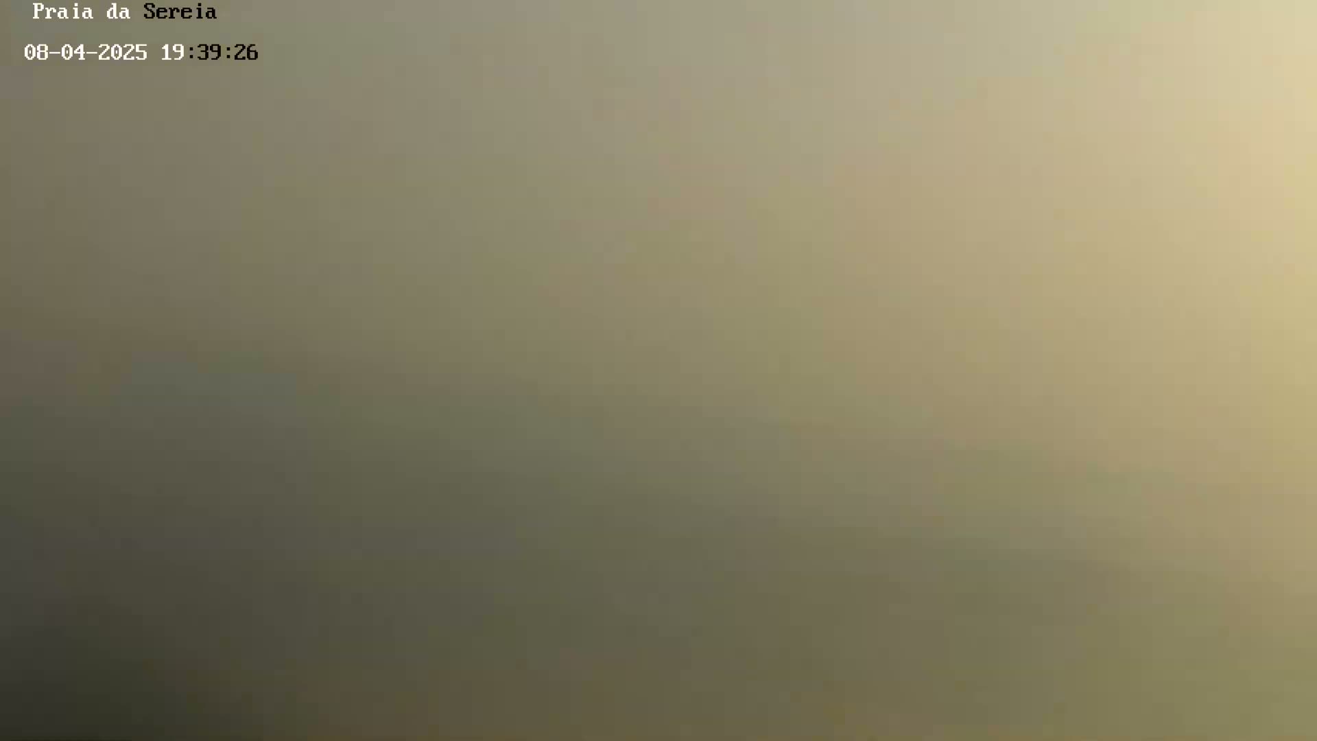 A blurry, muted beige and olive-green image shows an overcast sky.