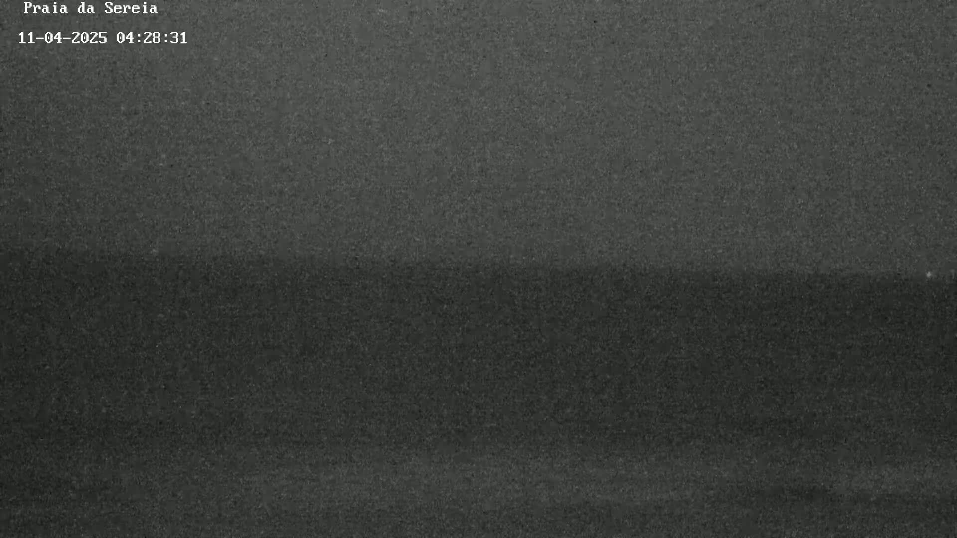 A dark, grainy image shows a dark body of water under an overcast sky.