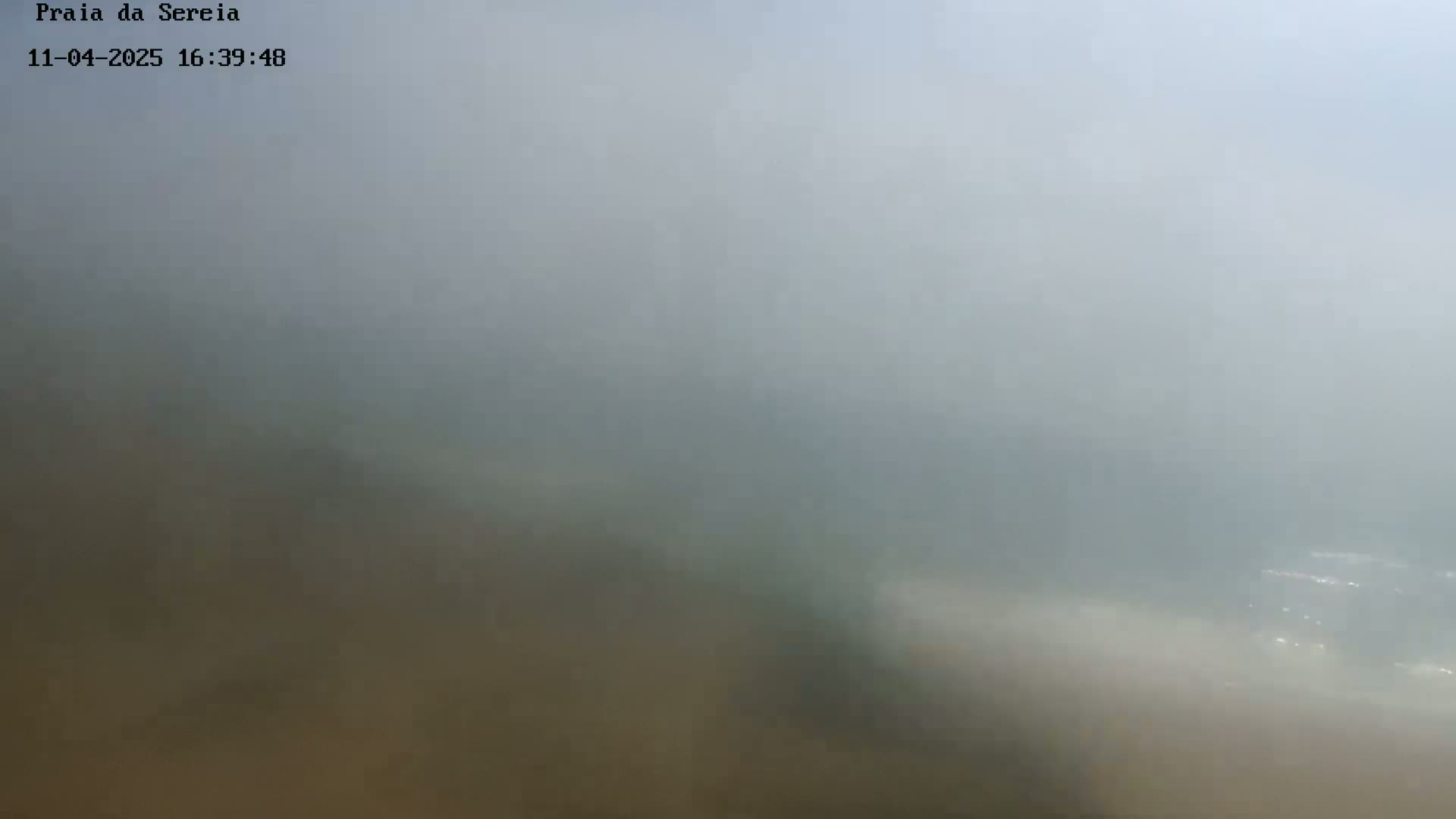A hazy, foggy scene shows an indistinct view of a beach or coastline.