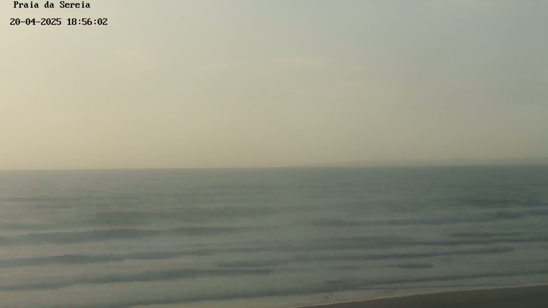 A hazy, calm ocean with small waves laps a sandy shore under a pale sky.