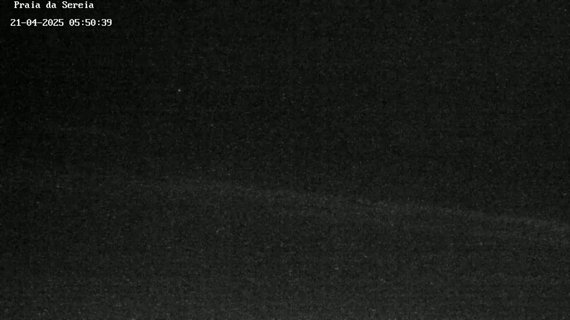 A dark, grainy image shows a mostly featureless dark landscape under a dark sky.
