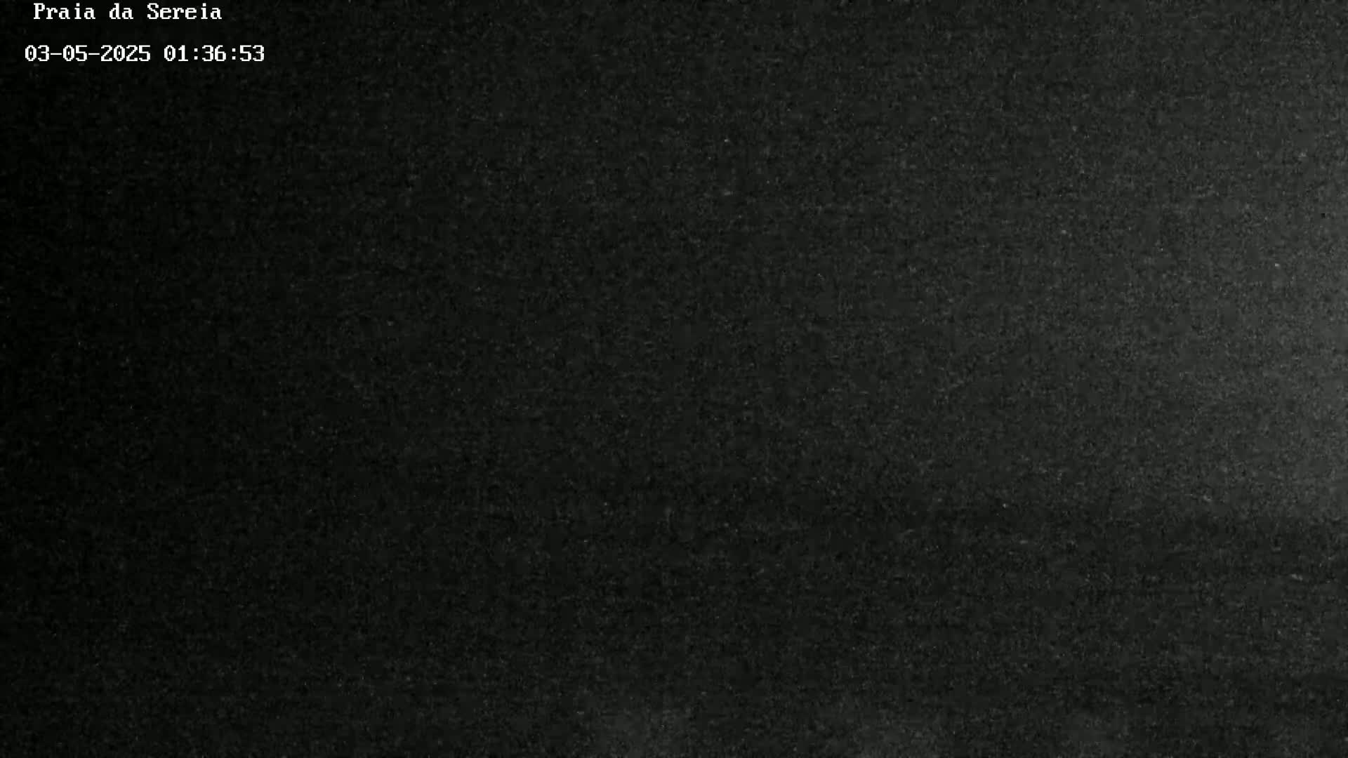 A grainy, dark image shows a mostly black surface.