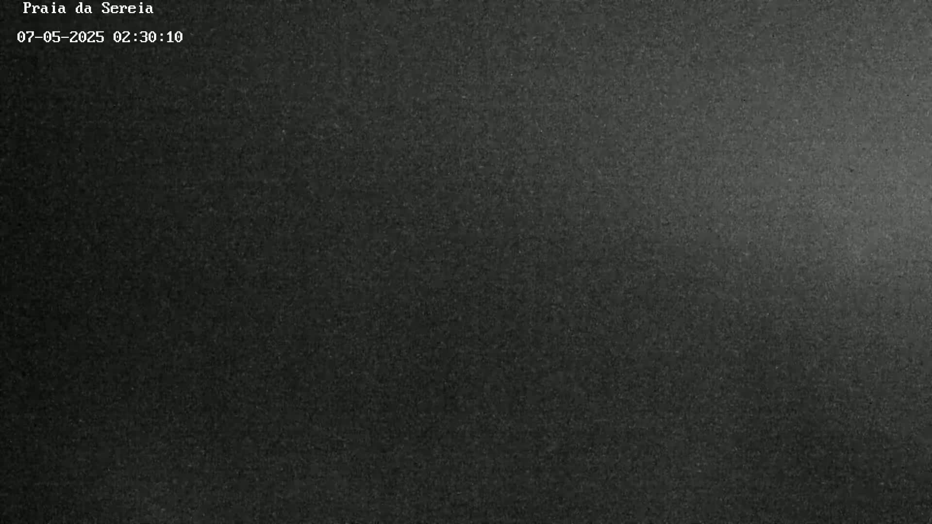 A dark gray, grainy surface fills the entire image.