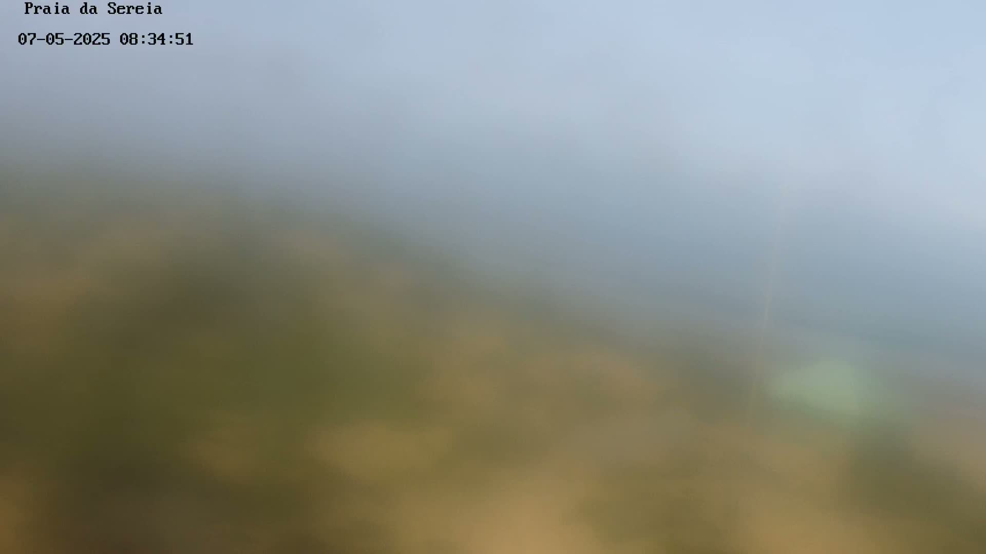 A hazy, blurry view of a tan and green landscape under a light-grey sky.