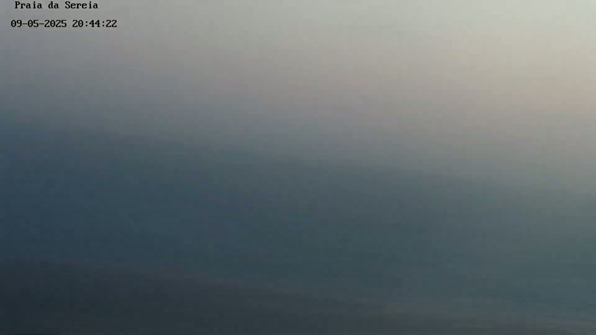A hazy, muted blue and gray landscape stretches to the horizon under a light, overcast sky.