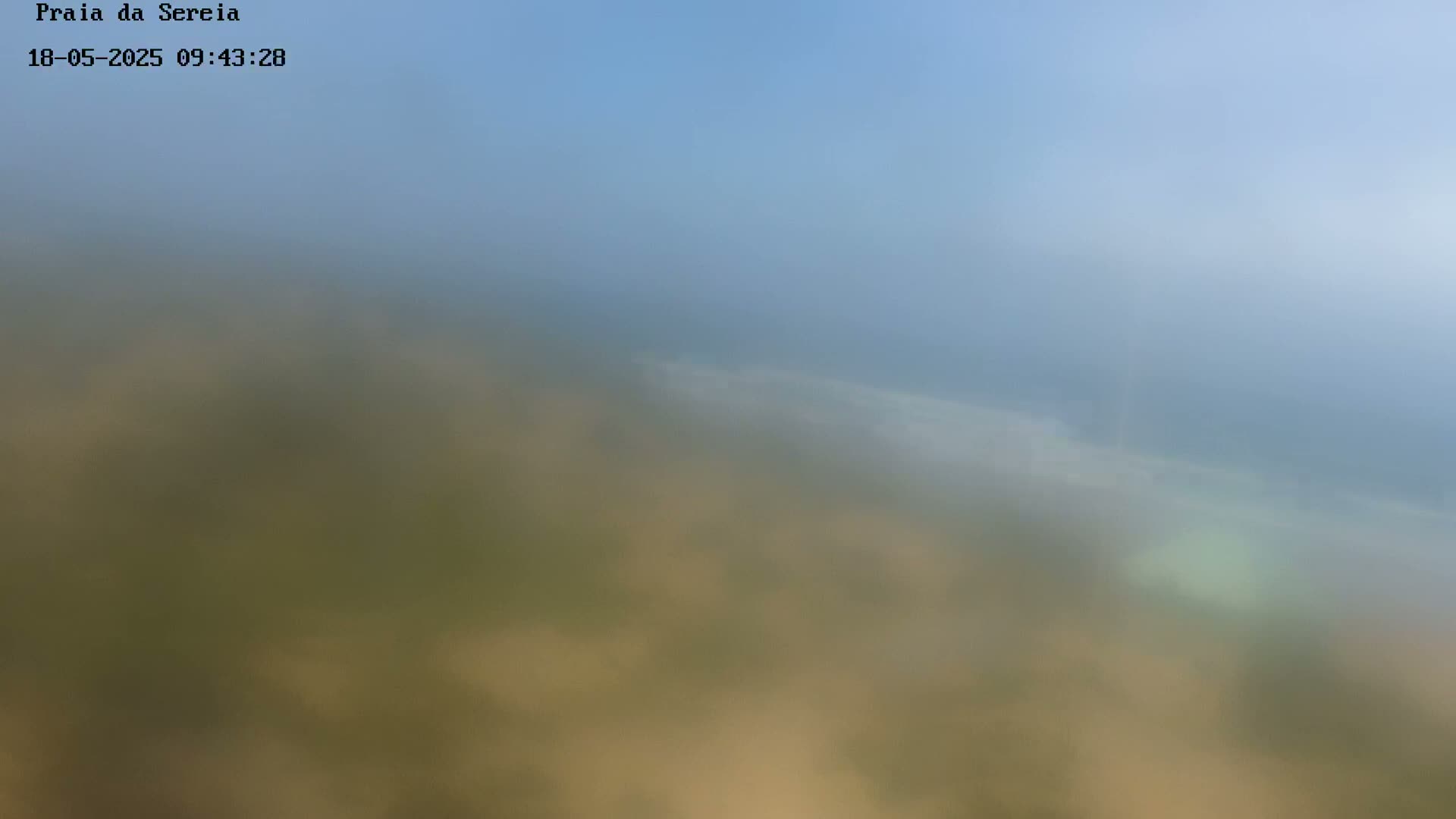 A hazy, blurry view shows a sandy beach meeting a foggy ocean under a pale blue sky.