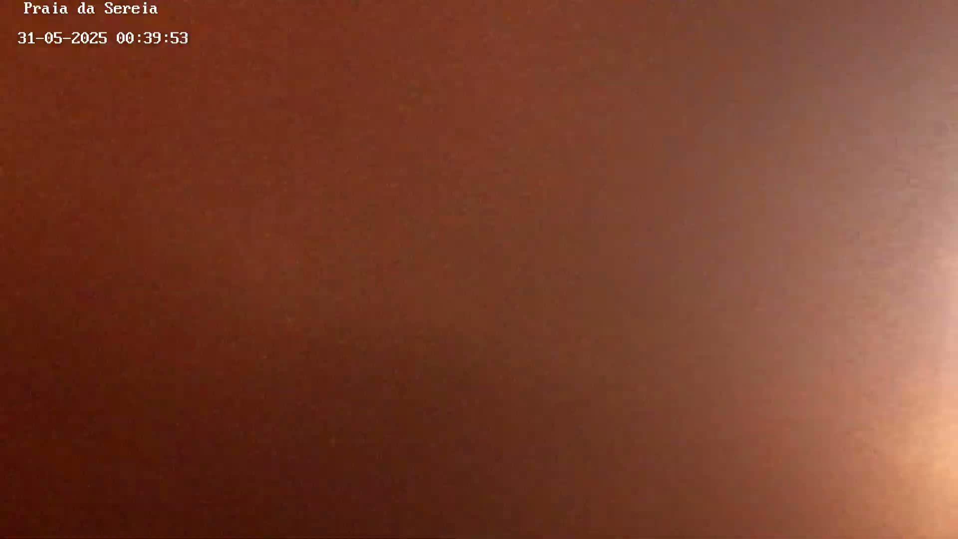 The image shows a solid, uniformly colored, reddish-brown surface.