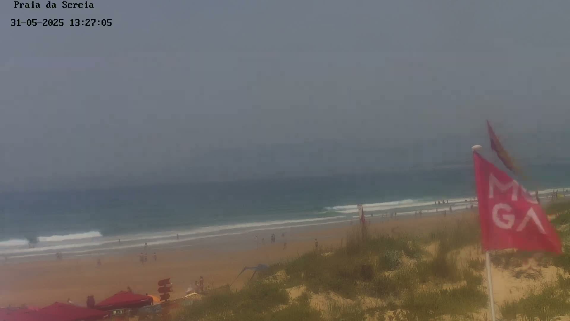 A hazy beach scene shows a sandy shore with scattered people, gentle waves, and a lifeguard flag.