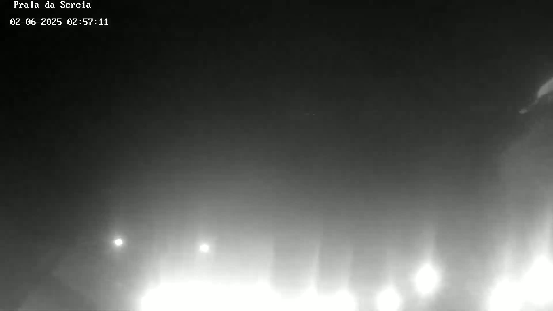 A foggy, nighttime scene shows several bright lights in the distance.