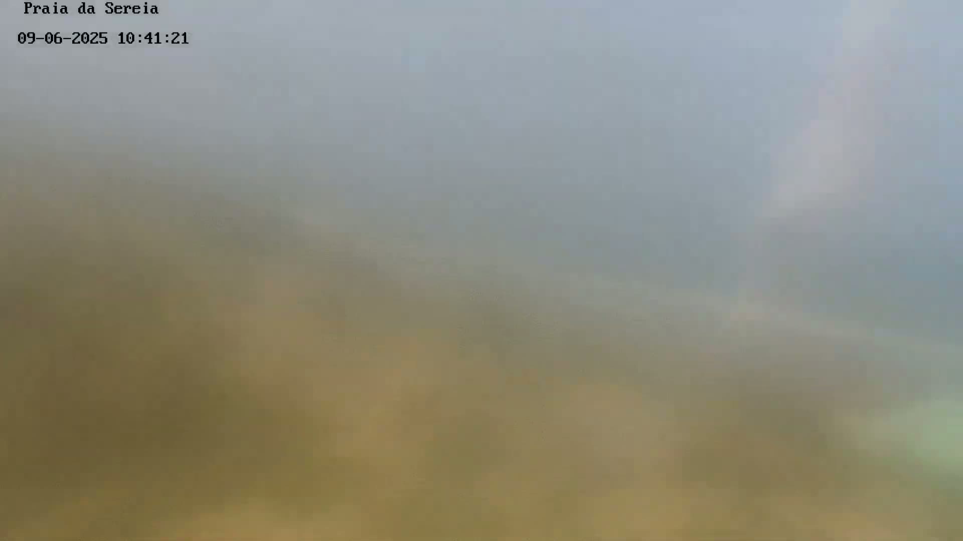 A hazy, muted-toned landscape is visible, with the overall appearance suggesting foggy or misty weather conditions.