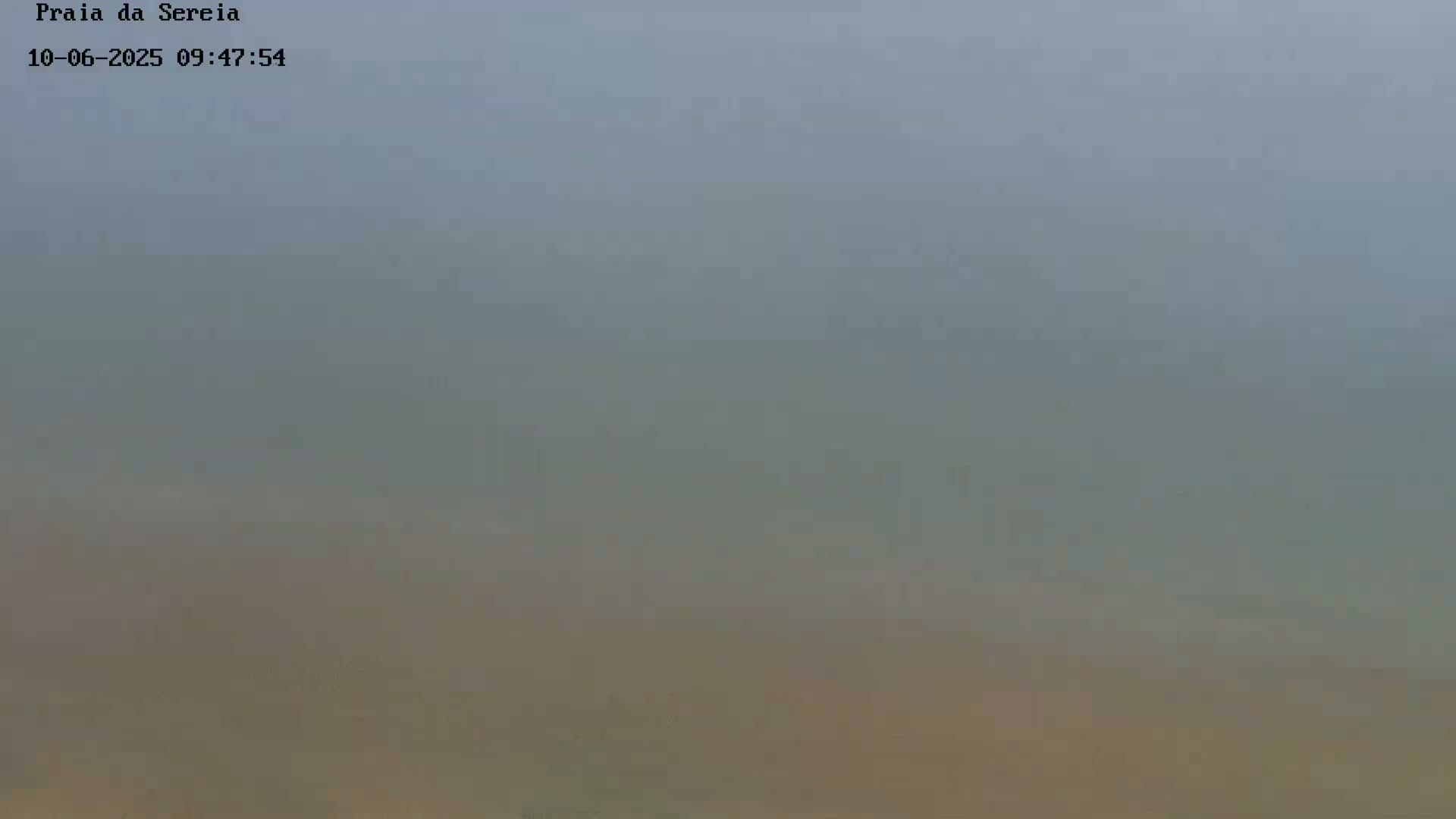 A hazy, muted-toned landscape stretches across the image, possibly a beach or shoreline under a foggy sky.