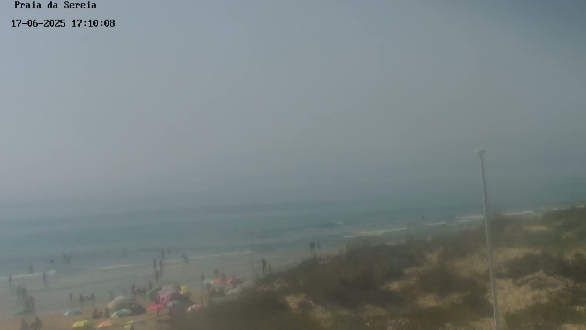 A hazy beach scene shows a calm ocean, a sandy shore with scattered people and colorful umbrellas, and shrubbery in the foreground.