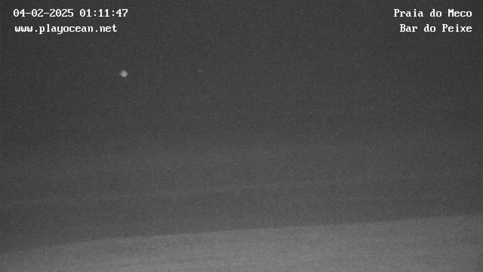 A nighttime, low-light image shows a dark, mostly featureless landscape under a clear sky with a single, bright point of light visible.
