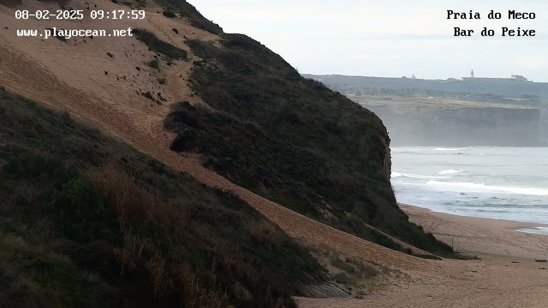 A sandy path descends a vegetated dune towards a beach with gentle waves under an overcast sky.