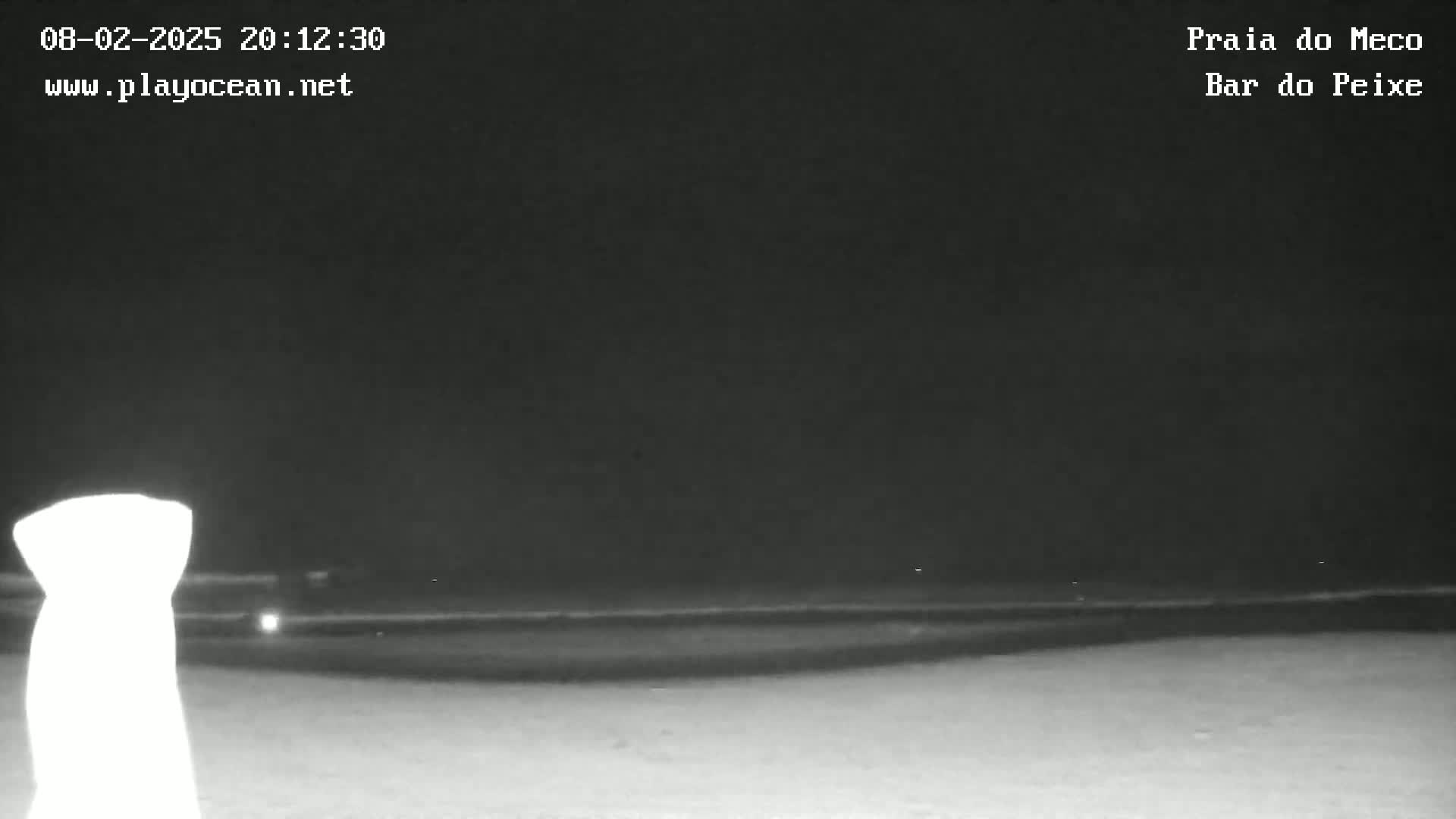 A nighttime, low-light image shows a dark beach and ocean under a clear, dark sky.