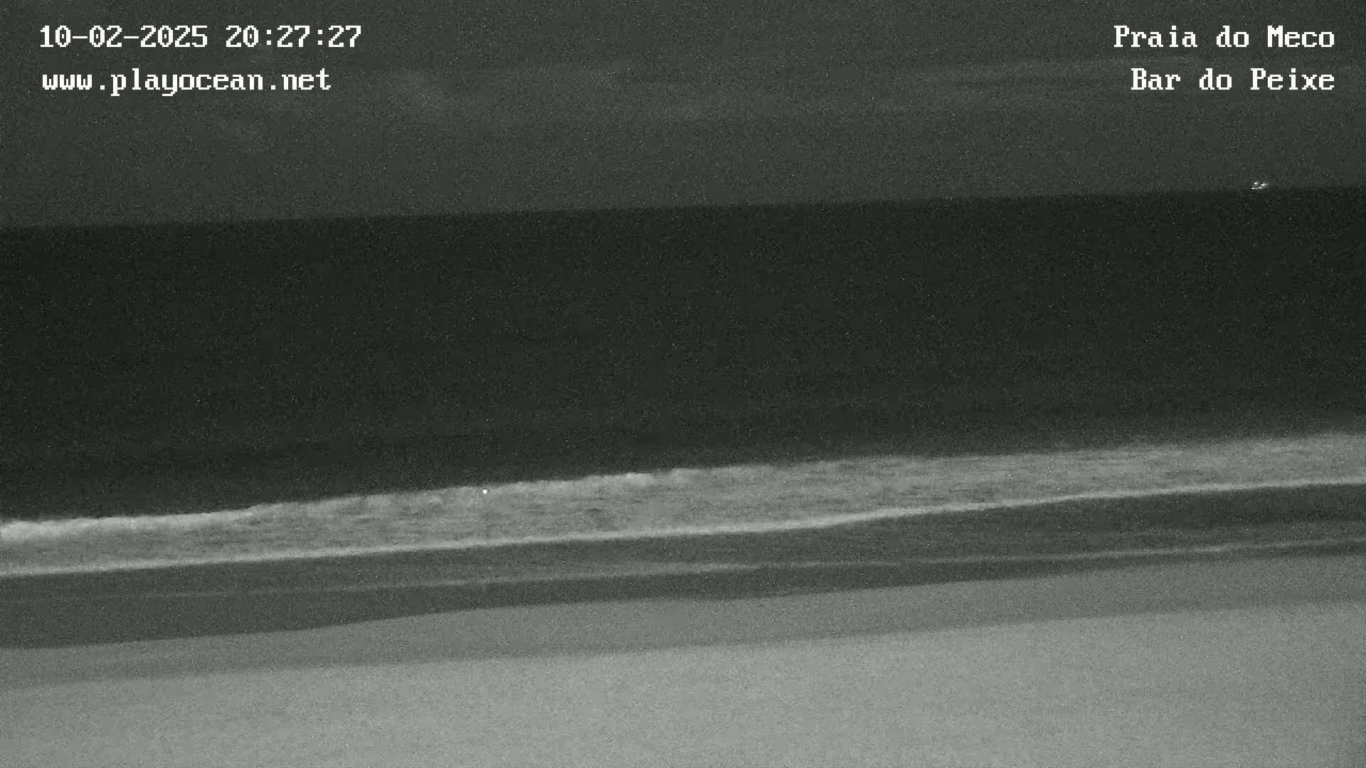 A nighttime grayscale image shows a dark ocean with small waves lapping onto a sandy beach.