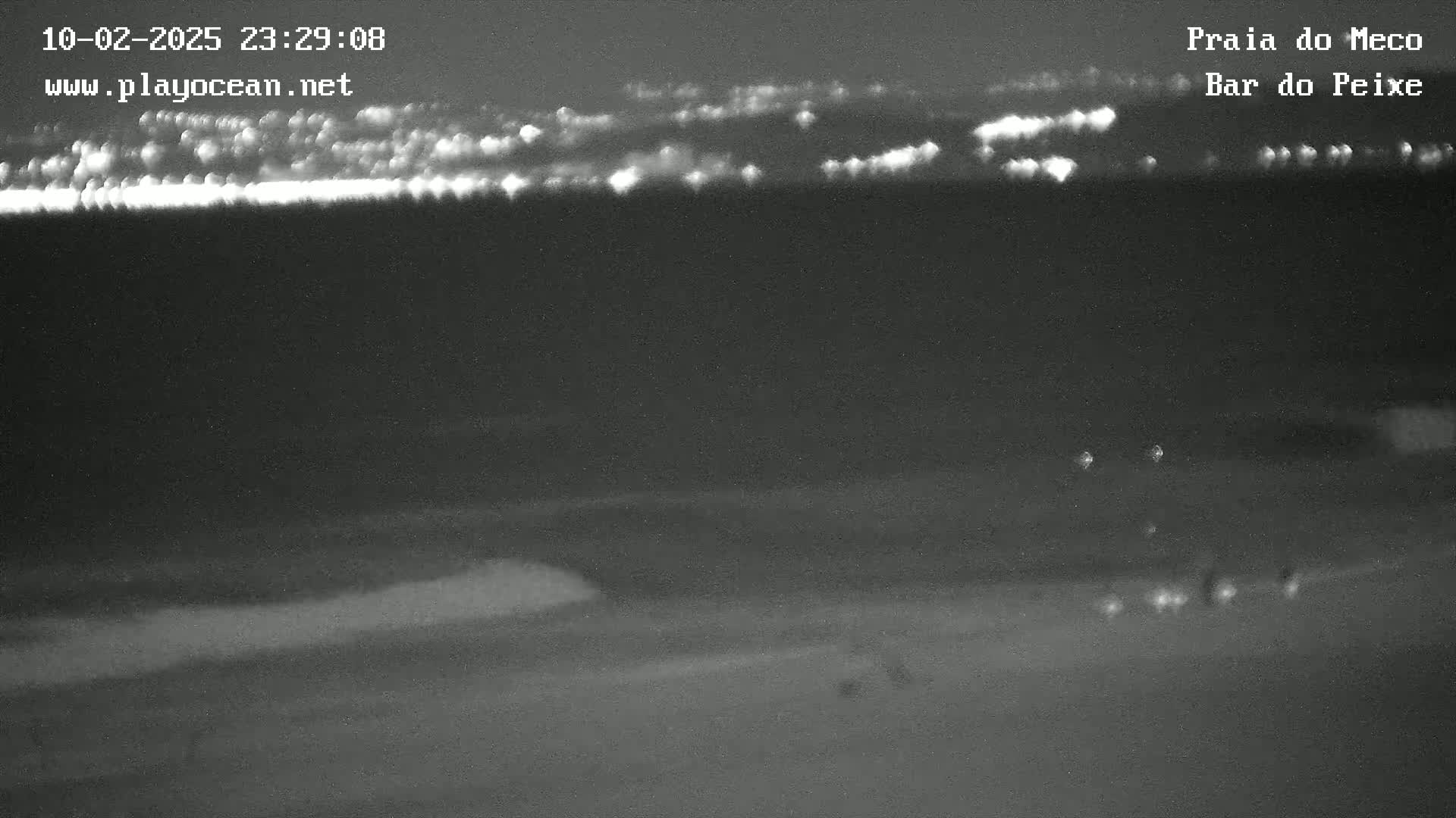 A nighttime, low-light view shows a dark ocean with a distant, bright horizon line and a dark beach in the foreground.