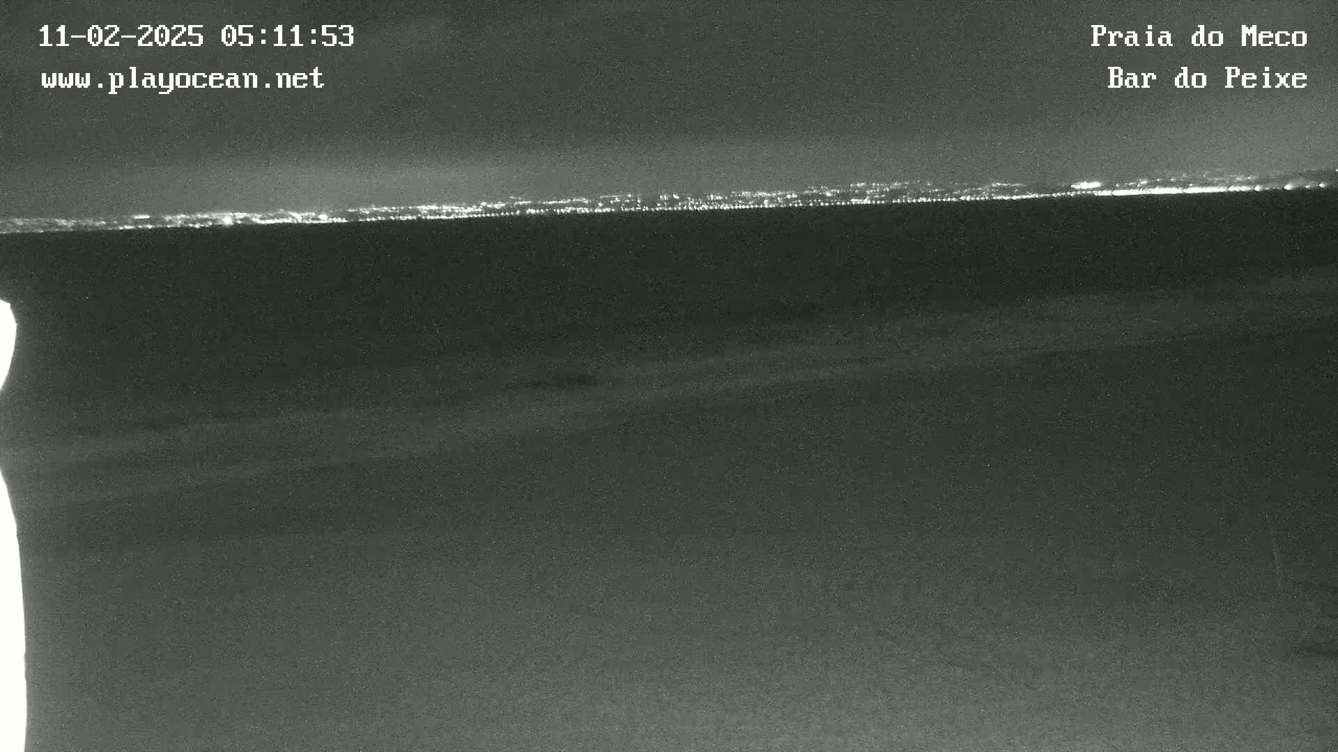 A nighttime, low-light view of a dark beach and ocean with a distant city skyline illuminated.