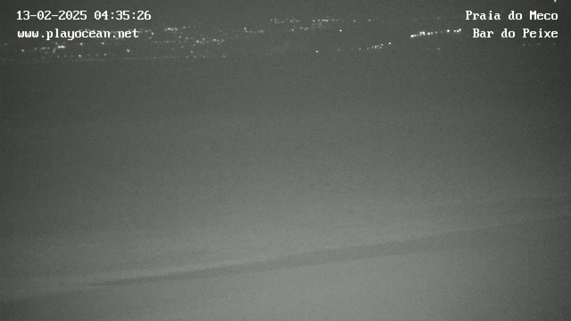A dark, nighttime view of a shoreline with faintly visible lights in the distance under a clear sky.