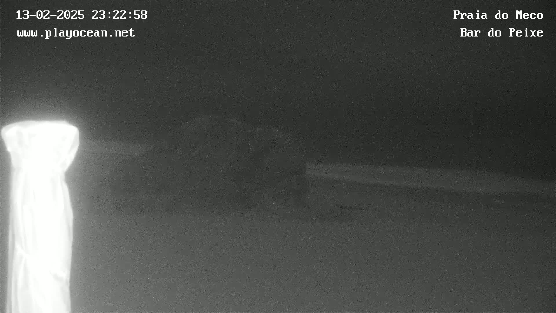 A nighttime, low-light image shows a bright, vertical object in the foreground and a dark, indistinct background.