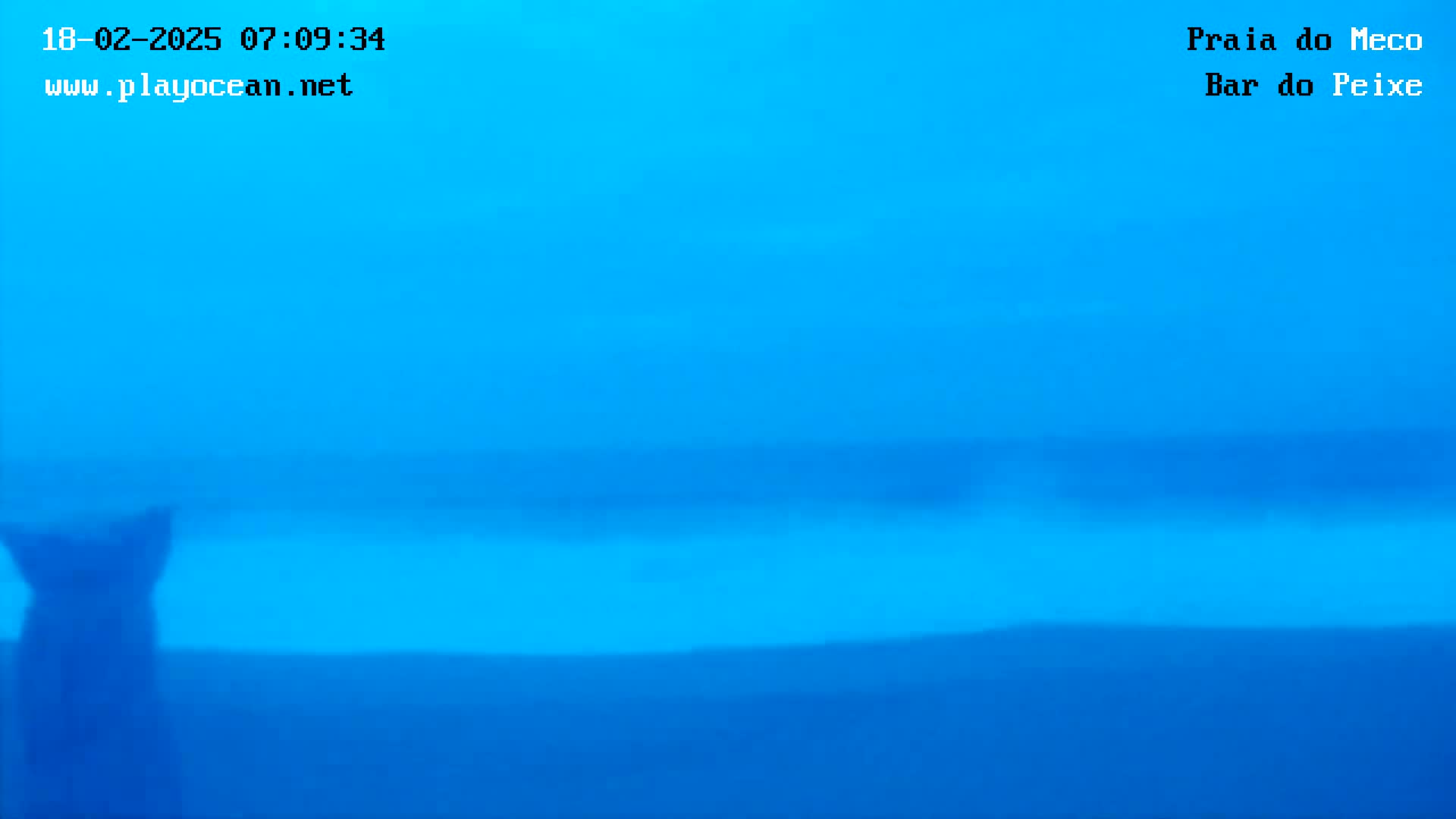 A blurry image shows a dark shape, possibly an animal, facing a hazy, light-blue ocean under a similarly colored sky.