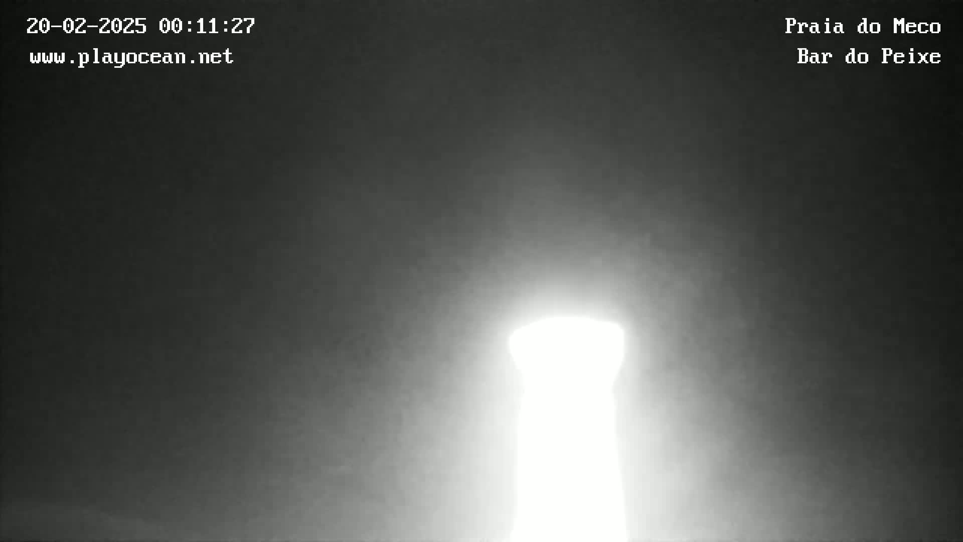 A bright, possibly light source, resembling a tower, is visible against a dark, hazy, nighttime sky.