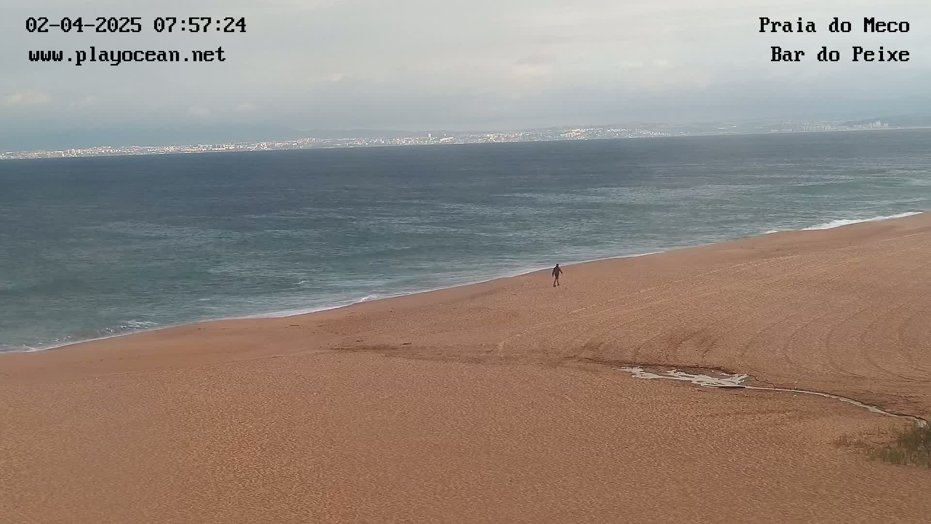 A lone person walks along a sandy beach next to a calm, gray-blue ocean under an overcast sky.