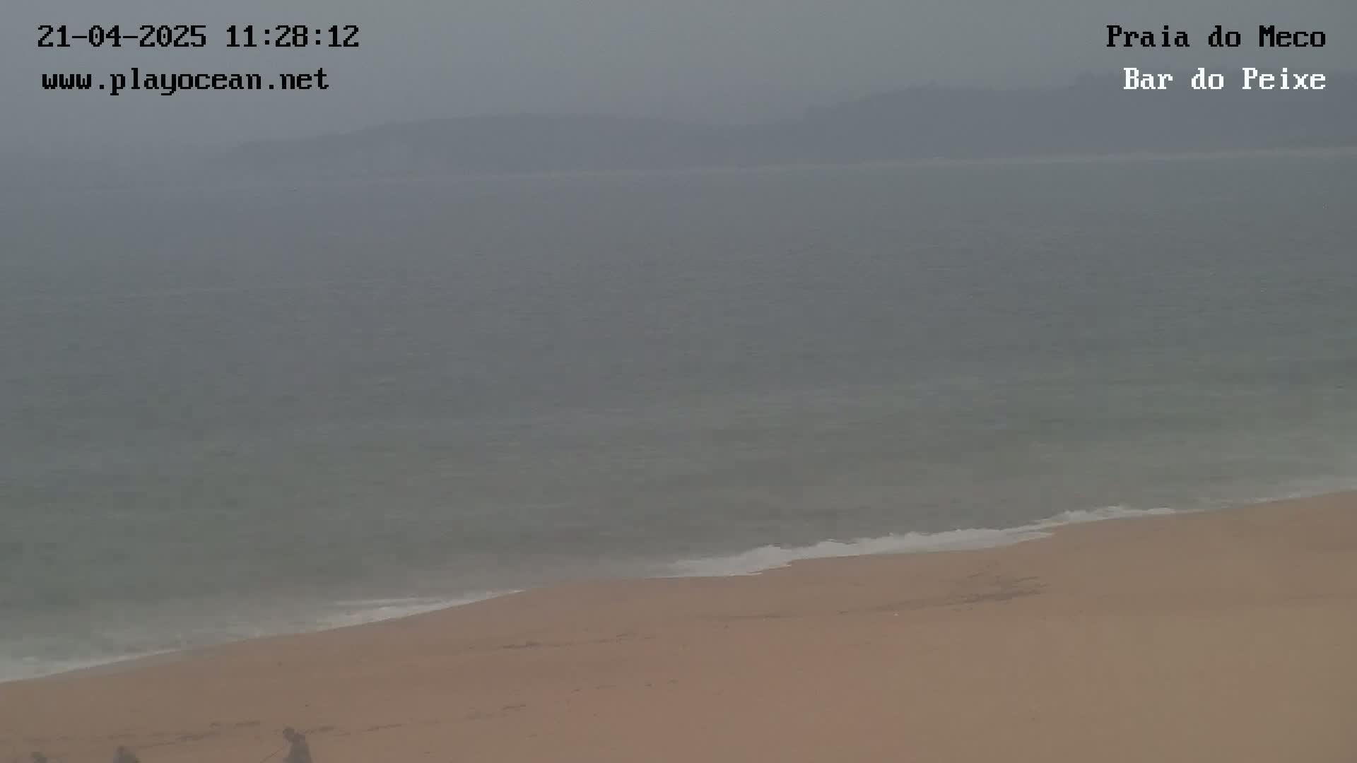A hazy, overcast day shows a sandy beach meeting a calm, gray-green ocean with a distant, indistinct shoreline.