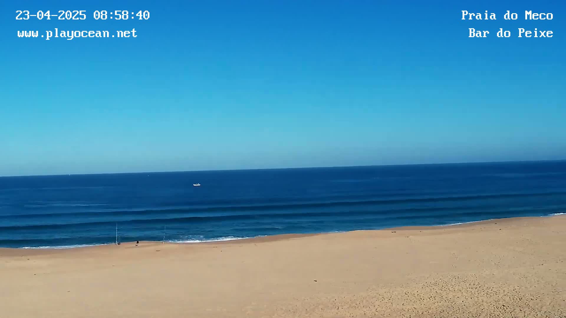 A sandy beach meets a calm, blue ocean under a clear blue sky.