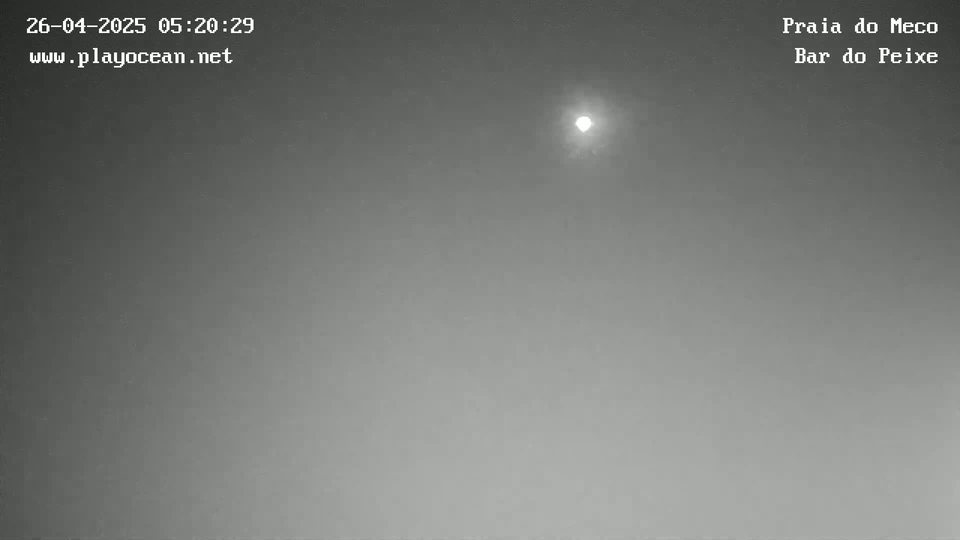 A bright light, possibly the sun or moon, is visible in a gray, overcast sky.