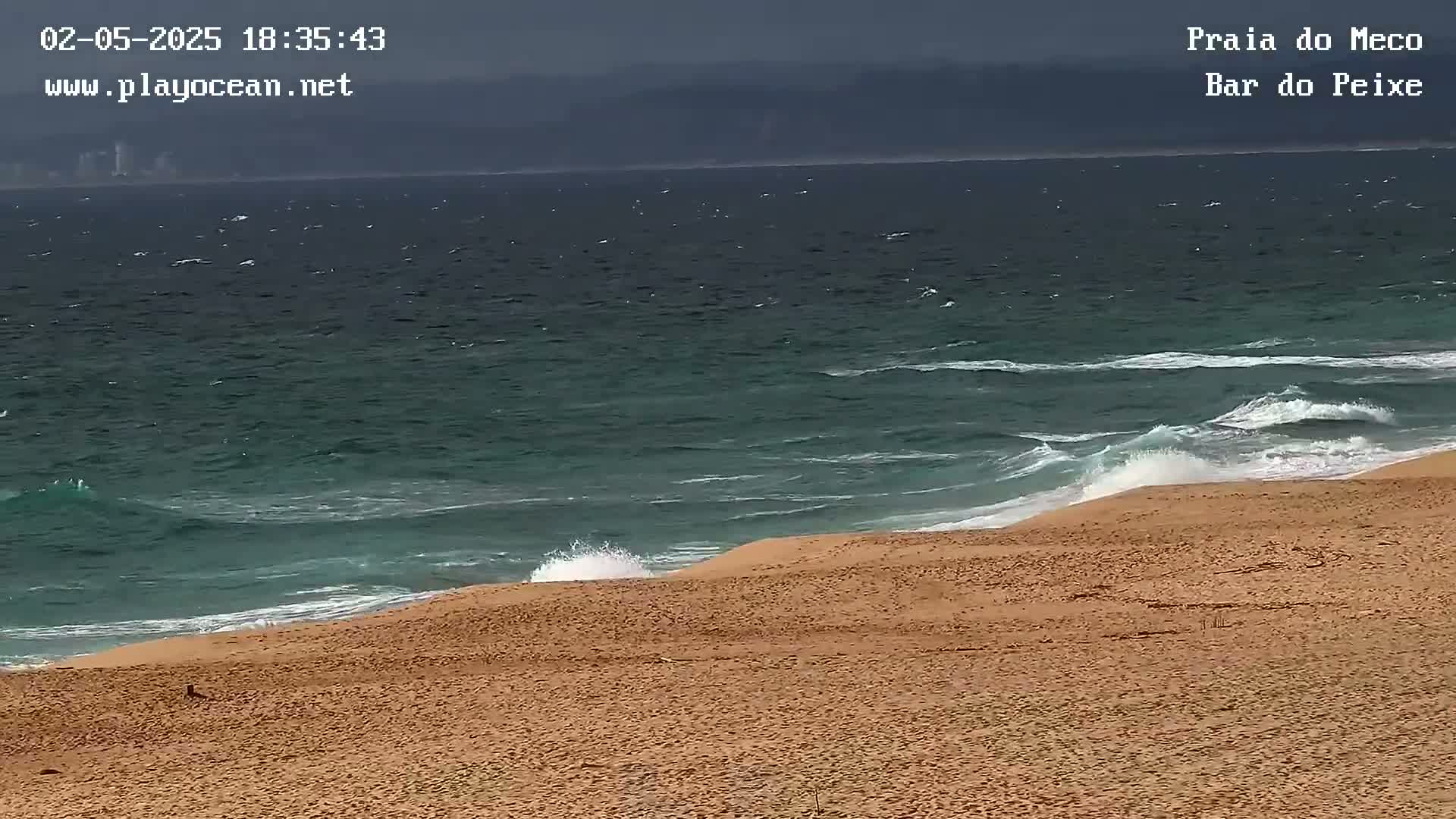 A sandy beach meets a dark teal ocean with small waves under an overcast sky.