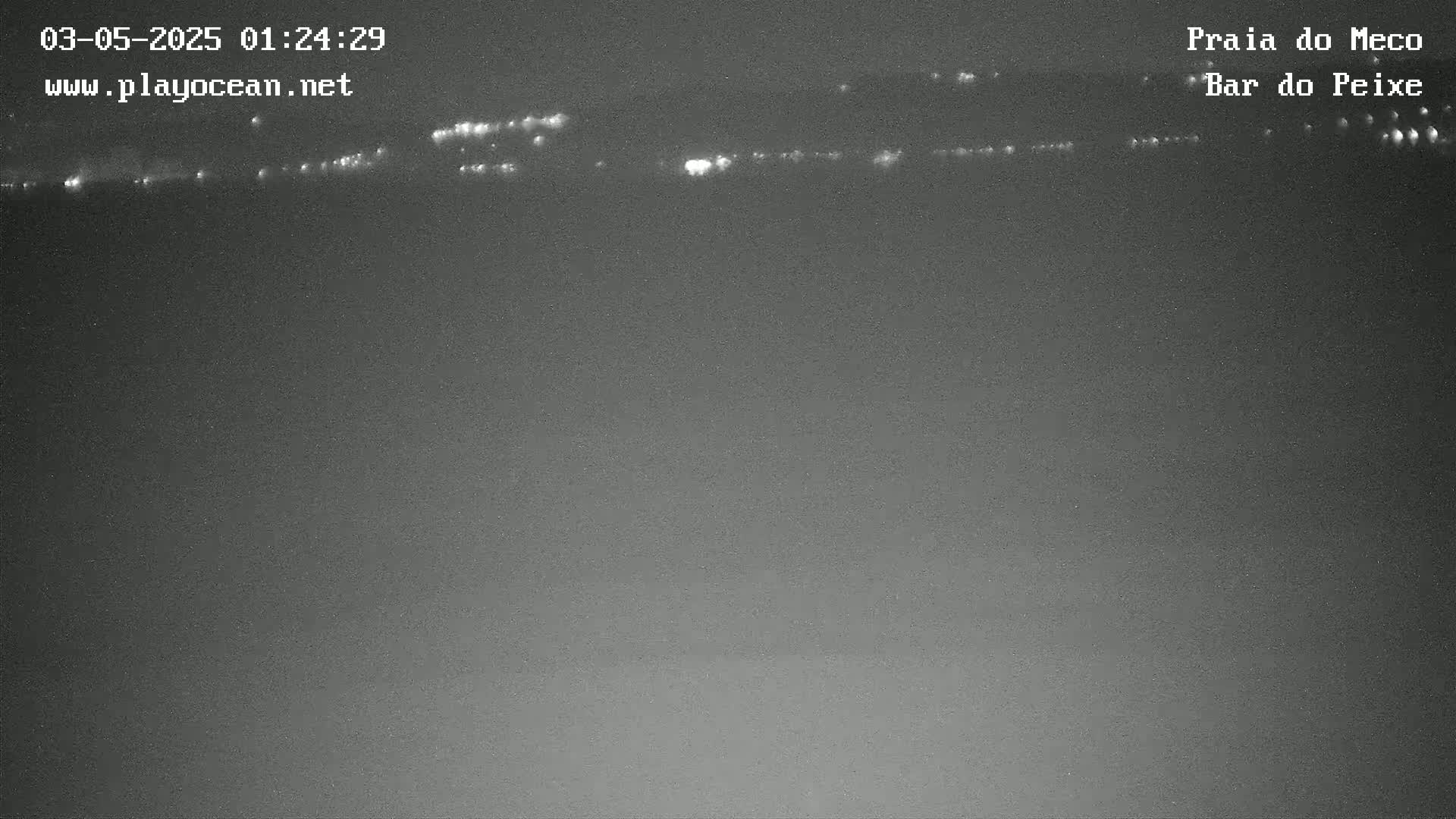 A nighttime, low-light image shows a dark body of water with a faint line of lights in the distance.