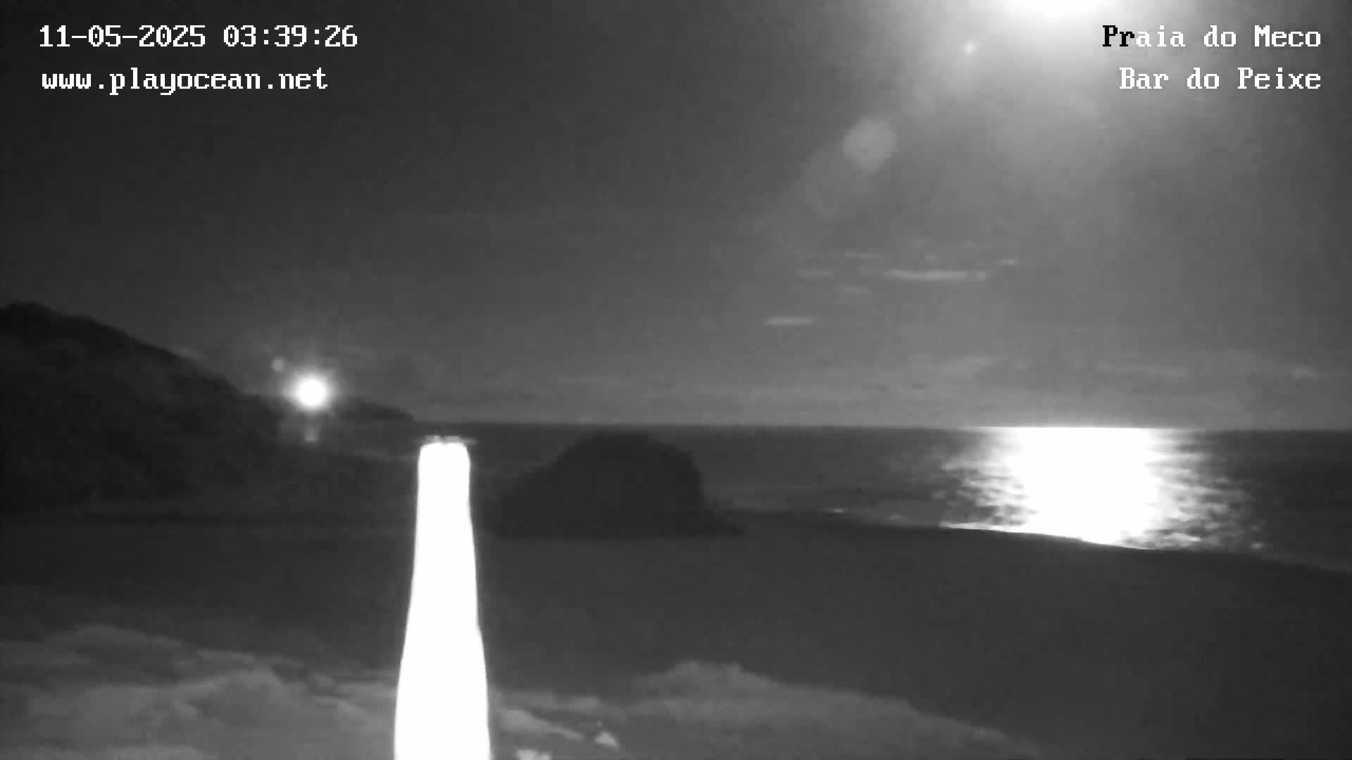 A nighttime, black and white view of a dark, rocky shoreline and a calm ocean reflecting light from the moon or sun.